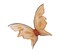 The Costume Center 30" Orange and Black Butterfly Women Adult Halloween Wings Costume Accessory